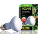 EXO TERRA Daylight 25W (neodymium heating bulb)